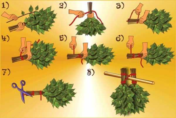 Веники для сауны – Какие бывают веники для бани