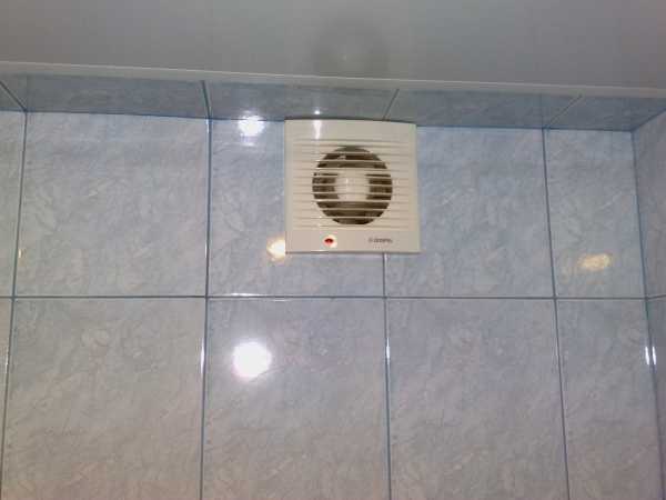 Вентиляторы для вытяжки бесшумные – Как выбрать бесшумный вентилятор для вытяжки, для комнаты, для дома? Бесшумный вентилятор для ванной Silent: отзывы :: SYL.ru