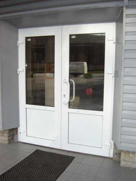 Входные двери пвх фото – уличные модели в частный загородный дом, стеклянные элементы в вариантах из ПВХ, вторая дверь, отзывы