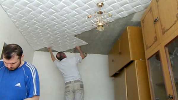 Видео как приклеить потолочную плитку – на побелку, из пенопласта, видео