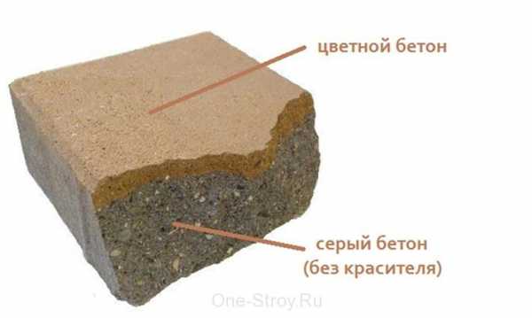 Виды тротуарных плиток – виды, способы укладки, особенности выбора 🚩 виды укладки тротуарной плитки 🚩 Строительные материалы