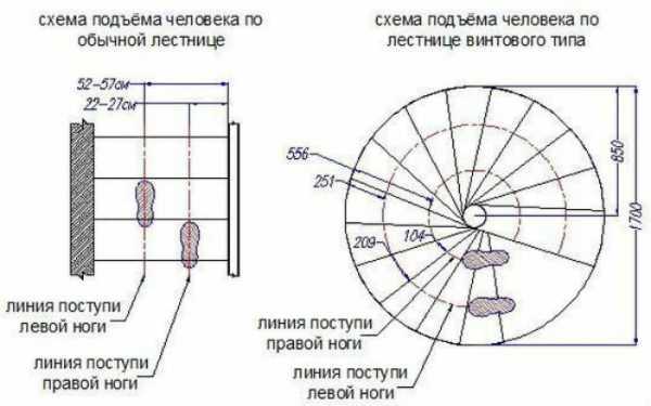 Винтовые лестницы из металла – чертежи, этапы, фото и видео