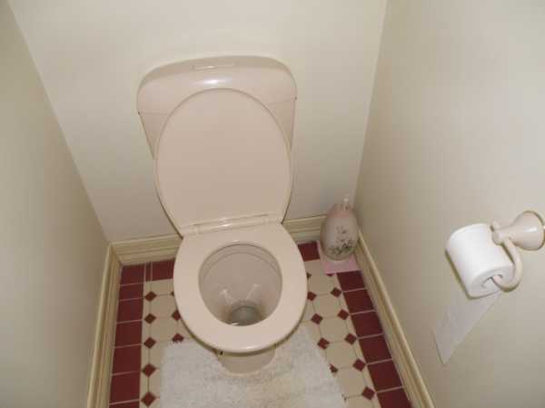 Внутренняя отделка туалета – Отделка туалета фото, отделка туалета пластиковыми панелями, плиткой, обоями, варианты отделки и обшивки