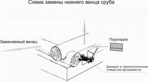 Замена нижнего бревна в деревянном доме – Замена нижних венцов деревянного (бревенчатого) дома: технология работ своими руками